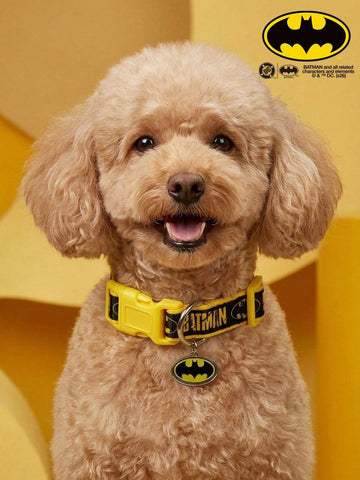 Black polyamide dog collar with Halloween letter print design for dogs