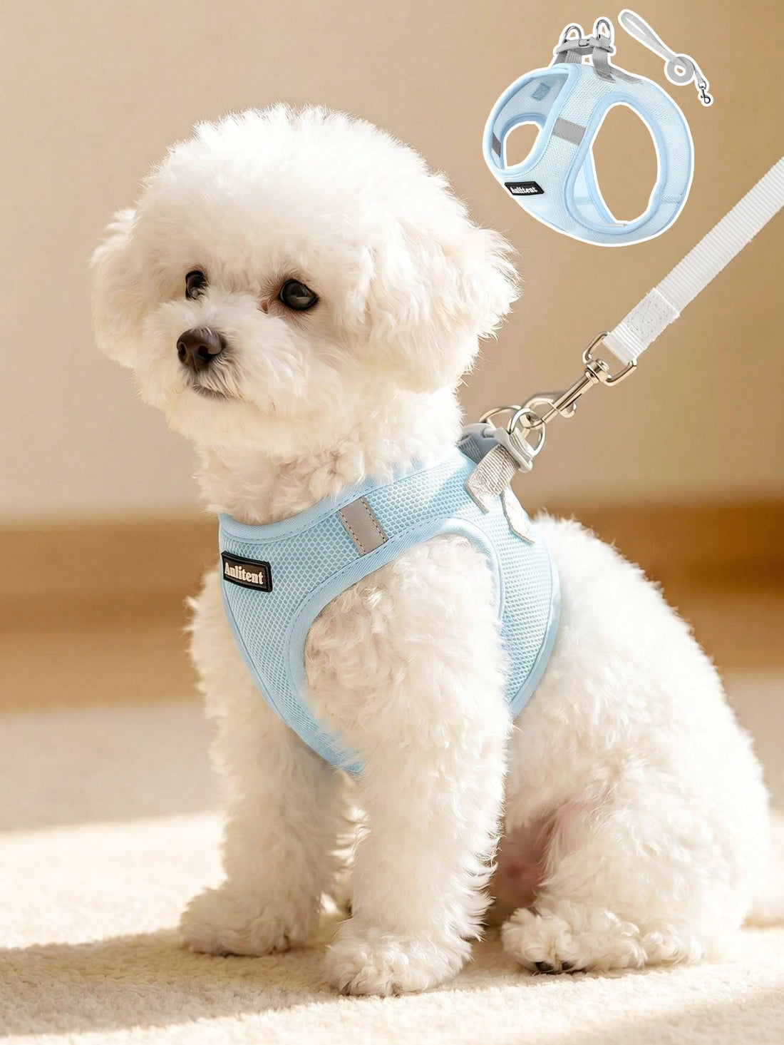 Colorblock reflective no-pull pet harness and 1.5m leash set for cats and small to medium dogs, featuring adjustable straps, breathable mesh, and anti-escape vest design.