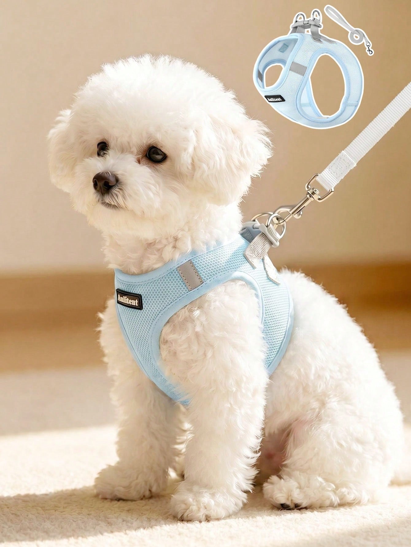 Colorblock reflective no-pull pet harness and 1.5m leash set for cats and small to medium dogs, featuring adjustable straps, breathable mesh, and anti-escape vest design.