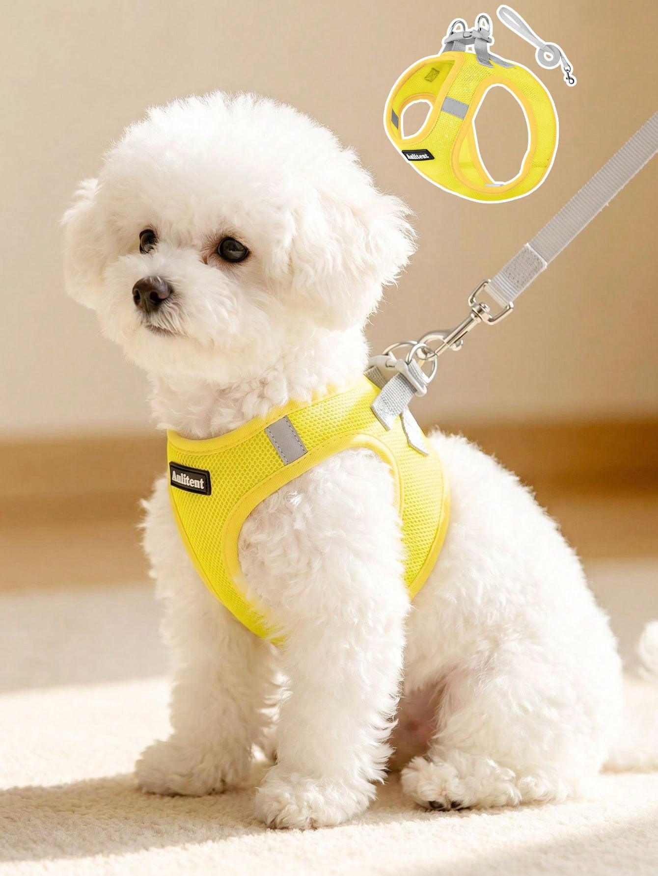 Colorblock reflective no-pull pet harness and 1.5m leash set for cats and small to medium dogs, featuring adjustable straps, breathable mesh, and anti-escape vest design.