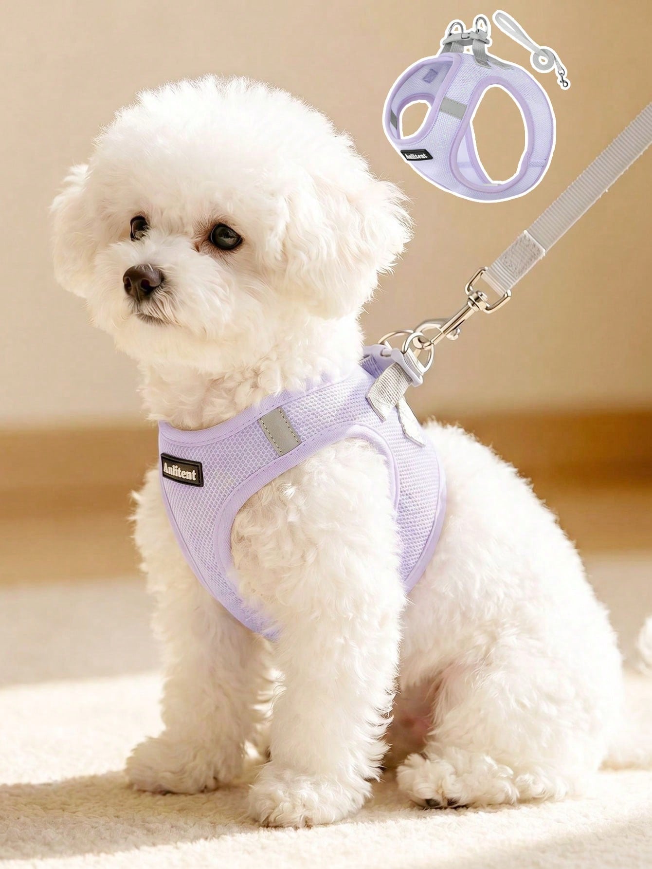 Colorblock reflective no-pull pet harness and 1.5m leash set for cats and small to medium dogs, featuring adjustable straps, breathable mesh, and anti-escape vest design.