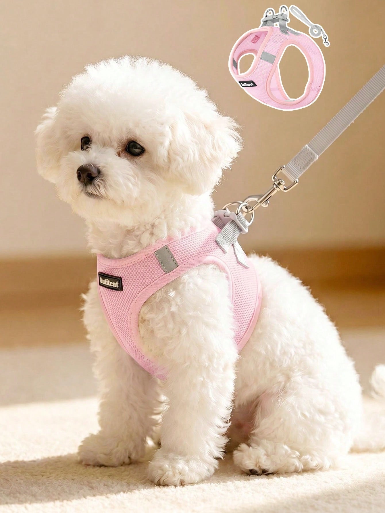 Colorblock reflective no-pull pet harness and 1.5m leash set for cats and small to medium dogs, featuring adjustable straps, breathable mesh, and anti-escape vest design.