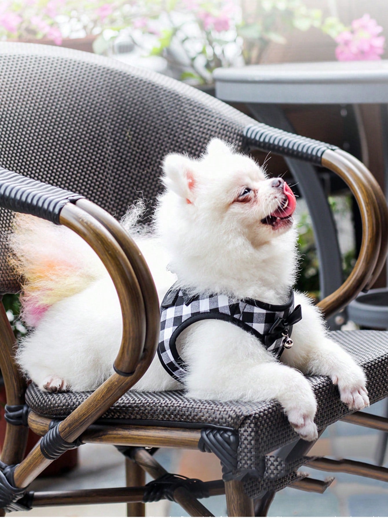 Pink adjustable polyester pet harness set for small dogs and cats with a plain design for walking and travel