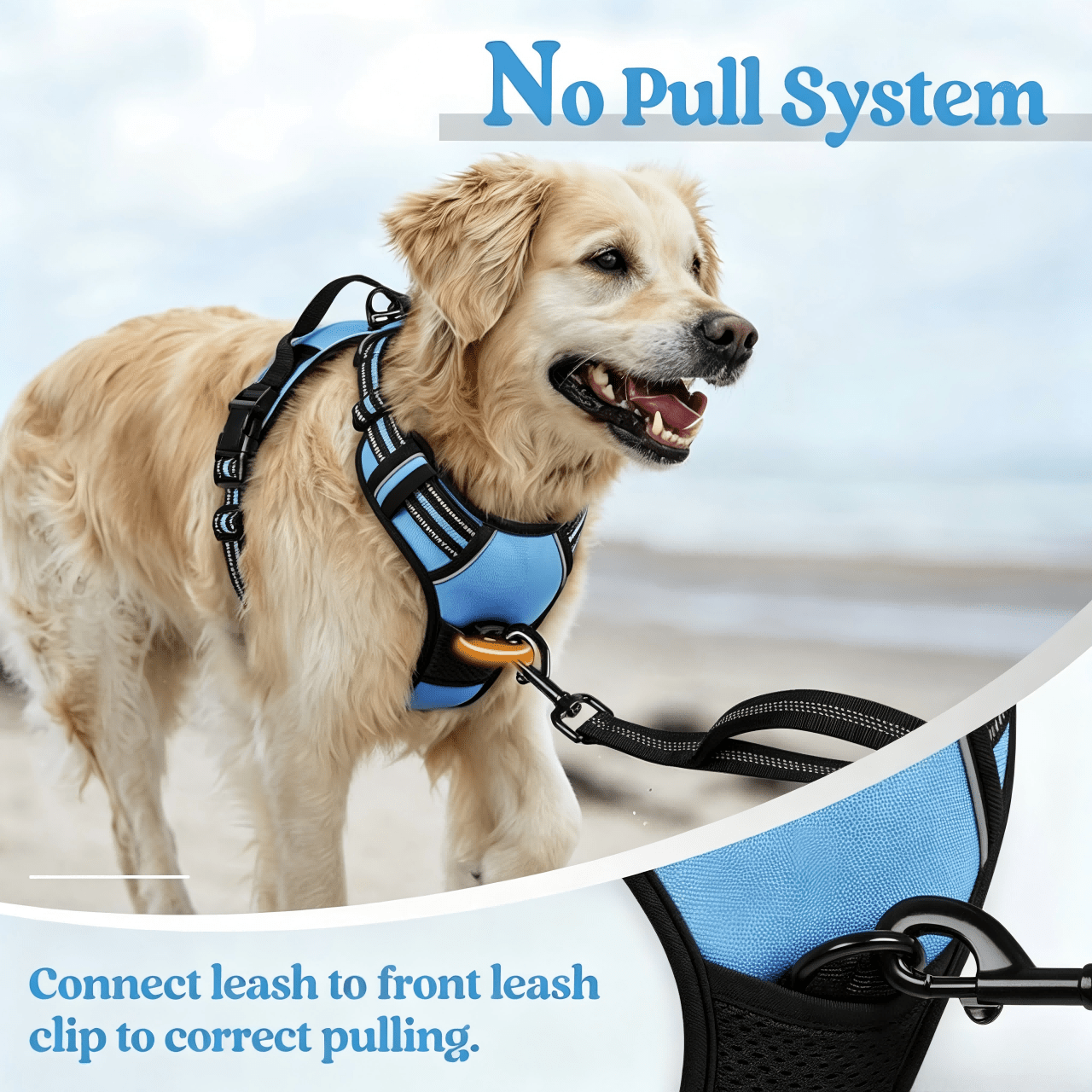 Reflective anti-pull dog harness and leash set with quick release buckle and comfortable thick handle for walking and training cats or dogs