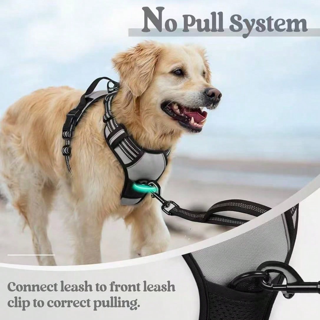 Reflective anti-pull dog harness and leash set with quick release buckle and comfortable thick handle for walking and training cats or dogs