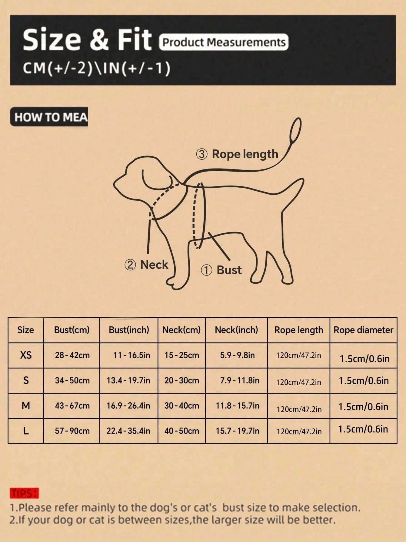 1 Set Cute Polyester Collar, Harness And Leash Set, Suitable For Small Teddy Bear Outdoor Use (Not Suitable For Large Dogs)