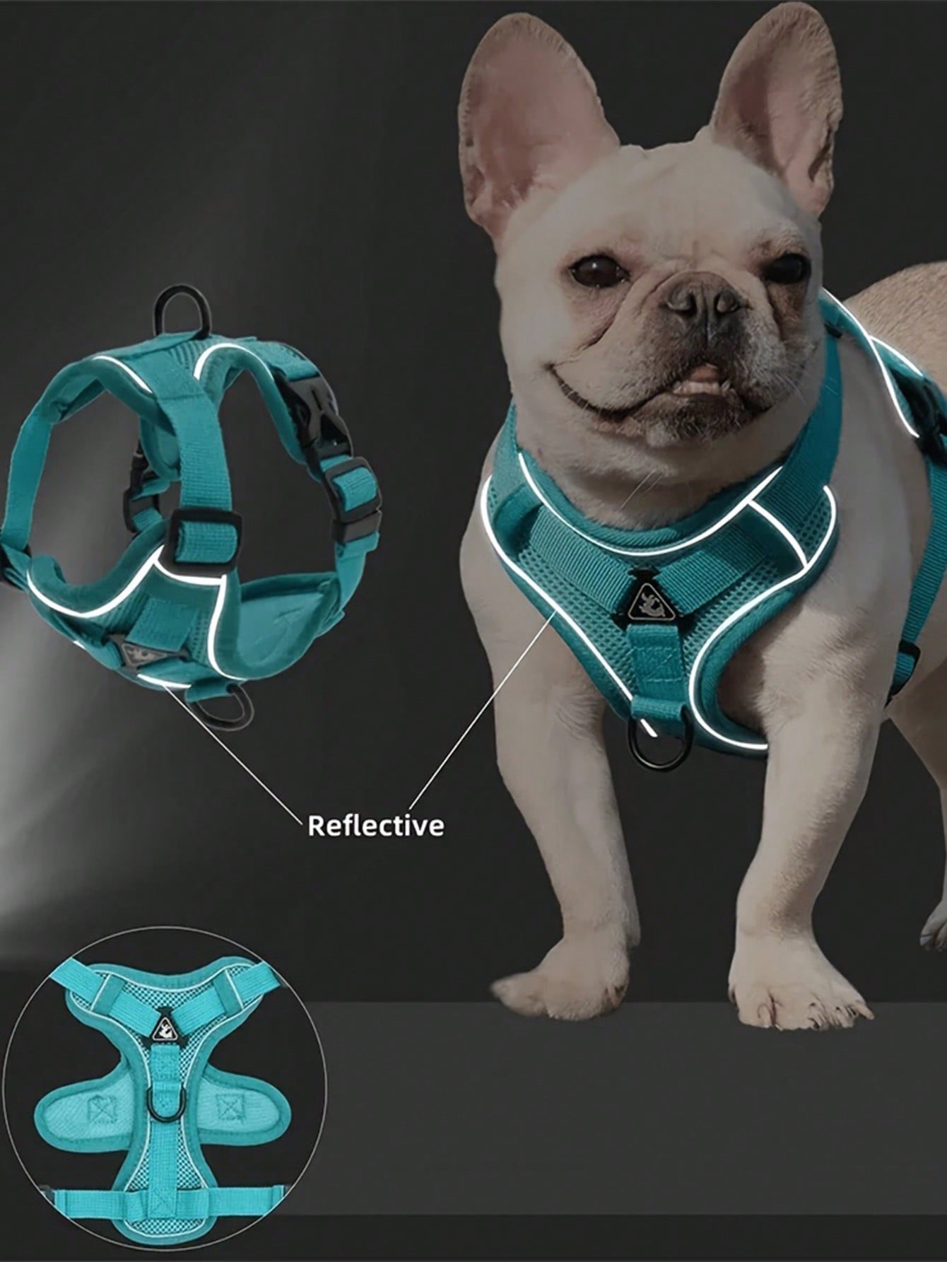Multicolor polyester anti-escape chest harness and leash set for cats and small dogs, designed for breathable and comfortable outdoor walking.