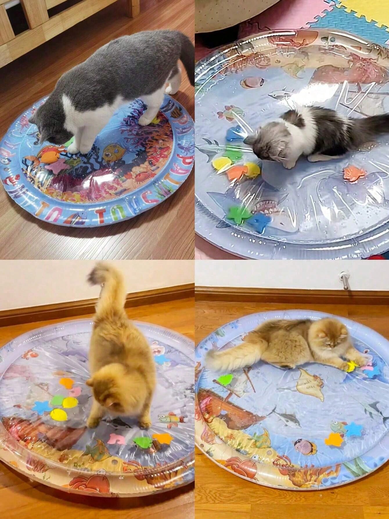 1pc Pet Water Play Mat, Cat Toy Suitable For Summer, Suitable For Cat Play, Summer Cat Bed, Bed, Cat And Dog Entertainment Toy, Needs Inflation And Water Filling Pet Entertainment Water Bed, Cat Sensory Water, Cat Cooling Mat, Cat And Dog Sensory Water