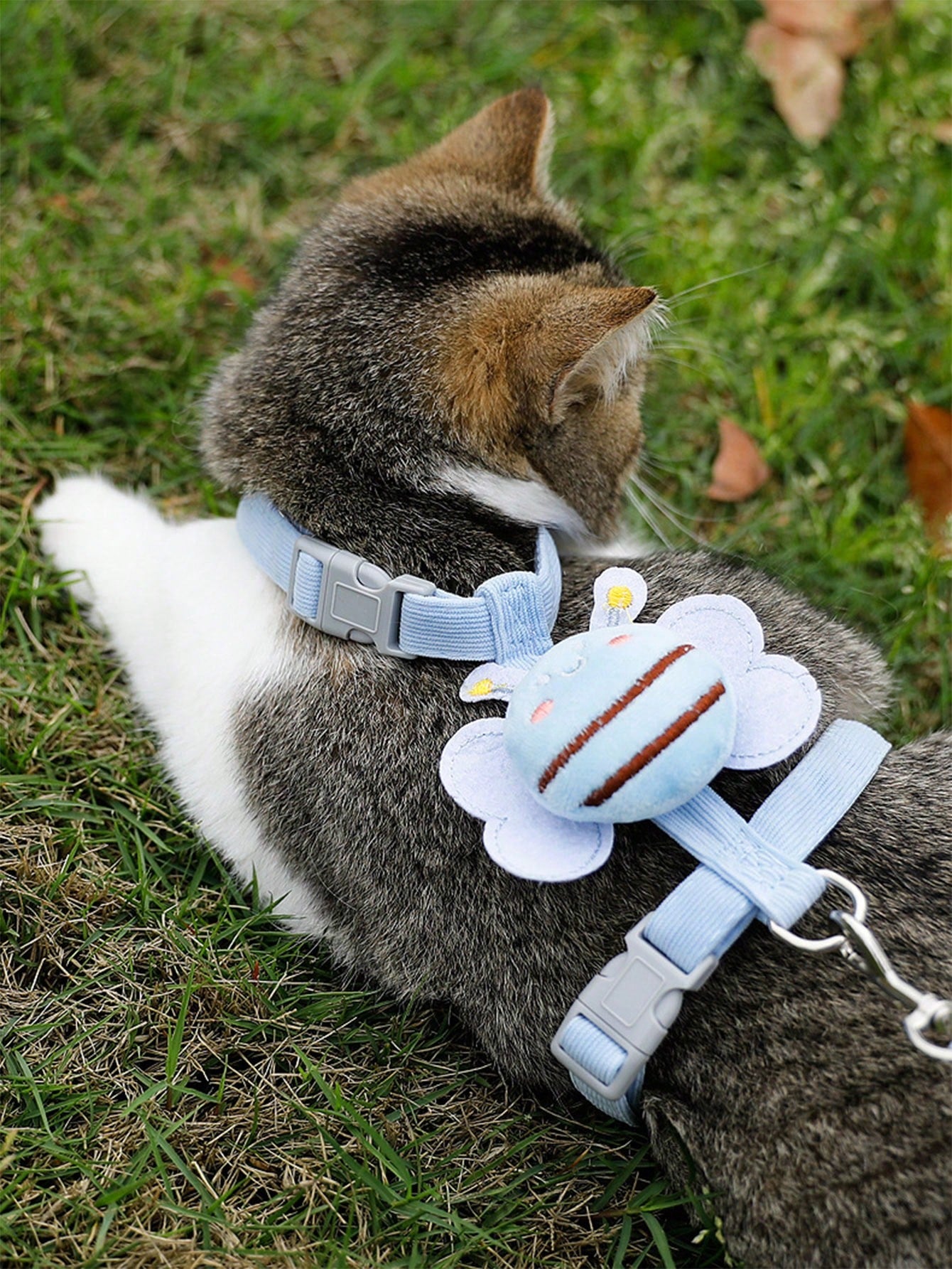 2-piece X-shape polyester pet leash and harness set with angel wing chest strap decor for cats and small to medium dogs