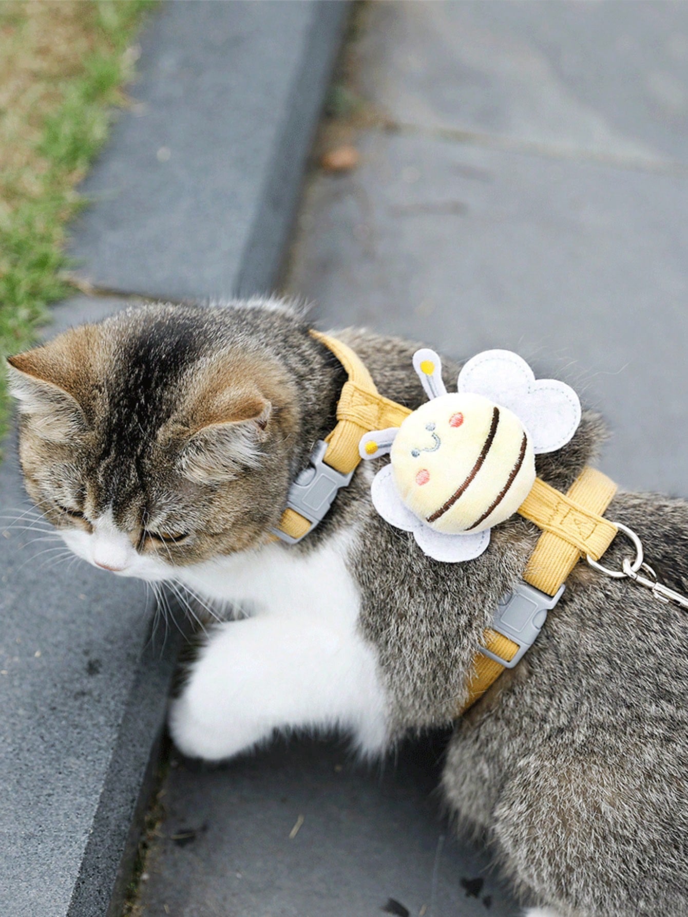 2-piece X-shape polyester pet leash and harness set with angel wing chest strap decor for cats and small to medium dogs