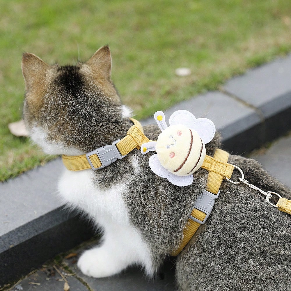 2-piece X-shape polyester pet leash and harness set with angel wing chest strap decor for cats and small to medium dogs