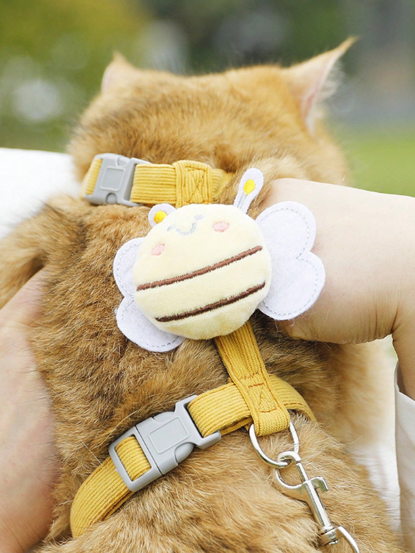 2-piece X-shape polyester pet leash and harness set with angel wing chest strap decor for cats and small to medium dogs