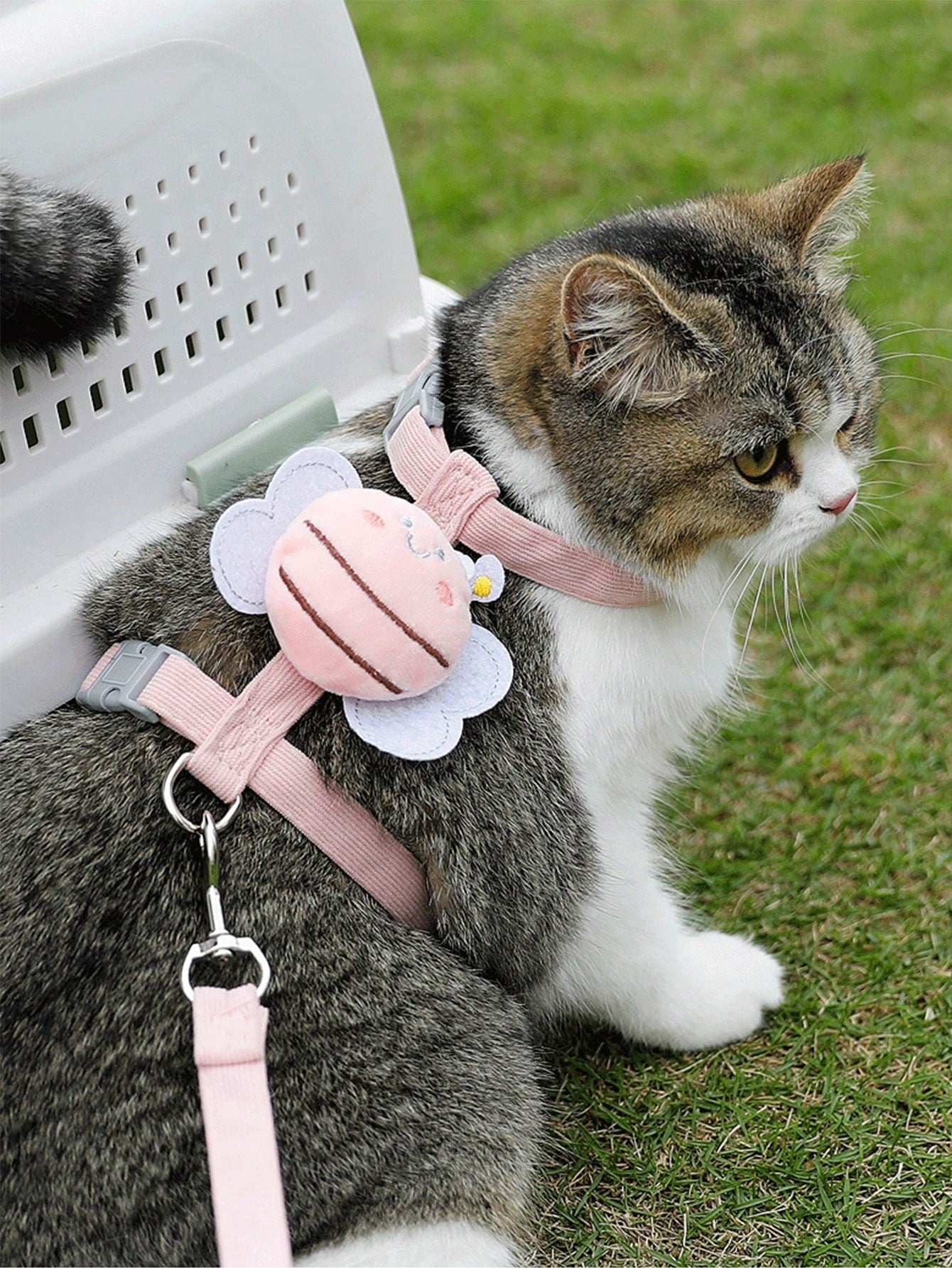 2-piece X-shape polyester pet leash and harness set with angel wing chest strap decor for cats and small to medium dogs