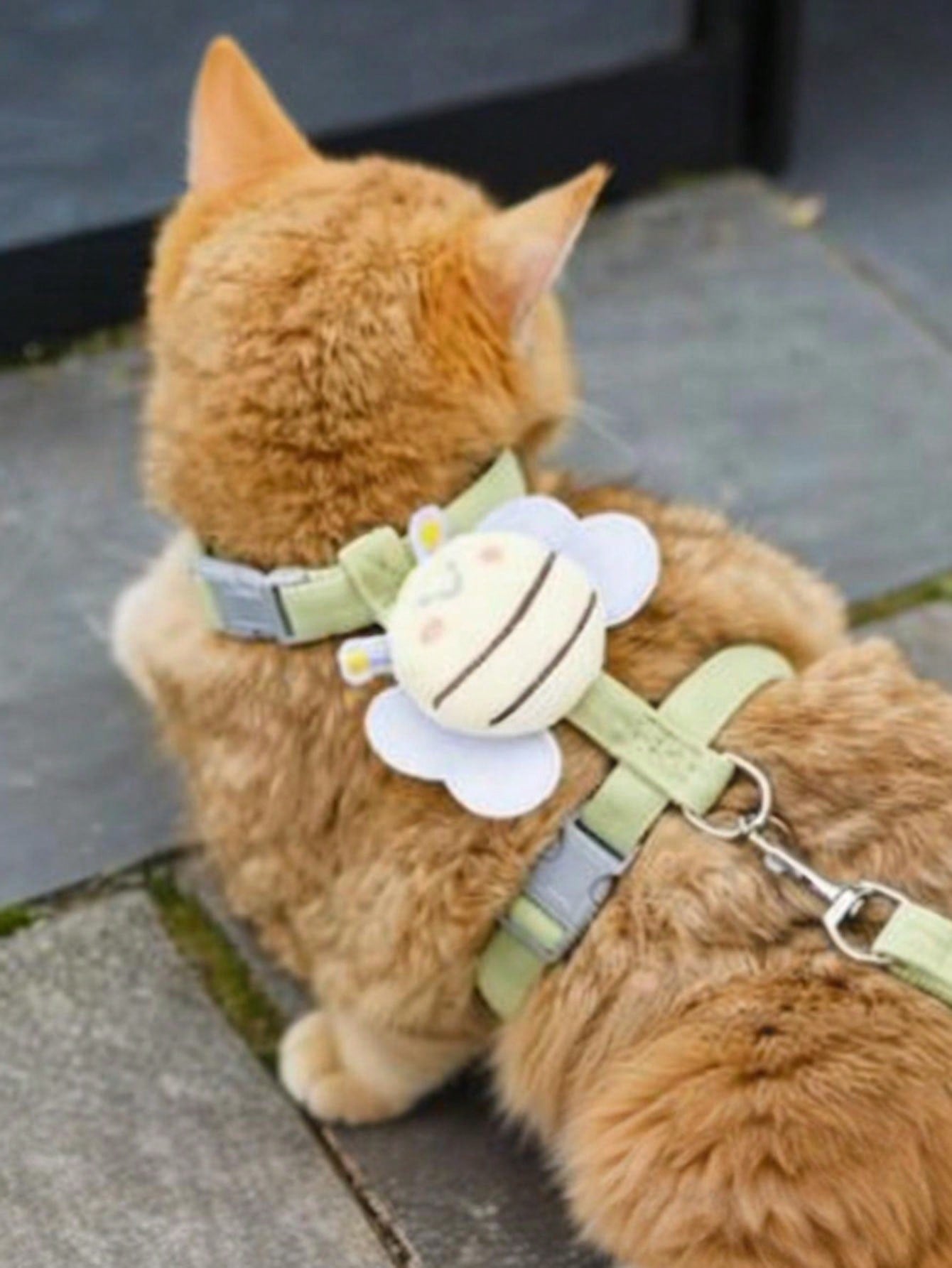 2-piece X-shape polyester pet leash and harness set with angel wing chest strap decor for cats and small to medium dogs