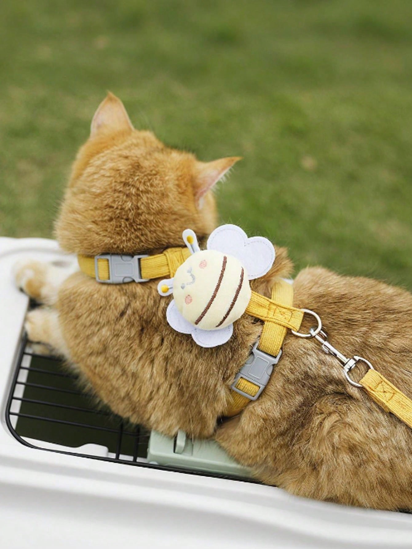 2-piece X-shape polyester pet leash and harness set with angel wing chest strap decor for cats and small to medium dogs