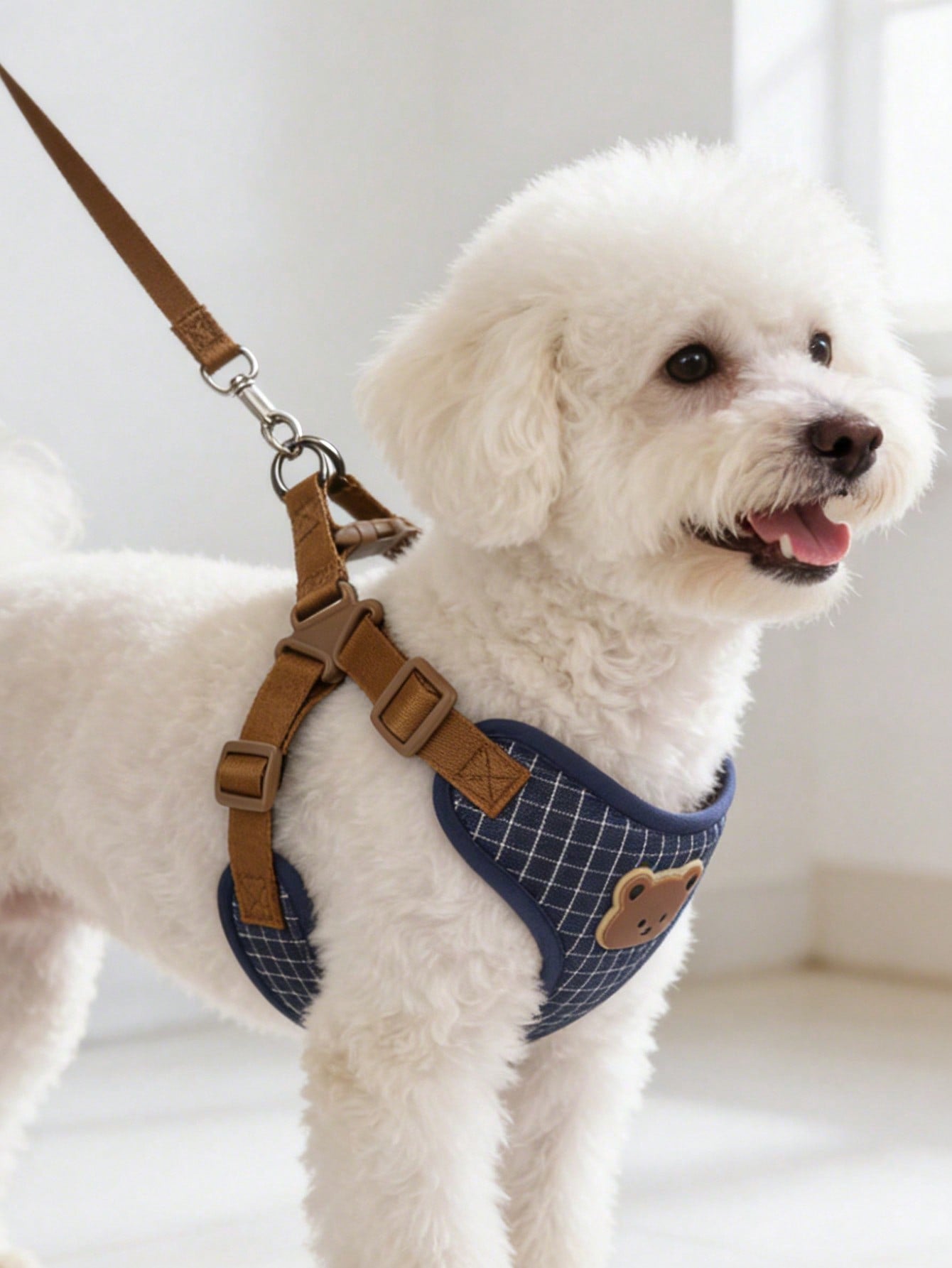 Multicolor polyester dog leash and collar set with plaid teddy bear pattern for small dogs and outdoor walking