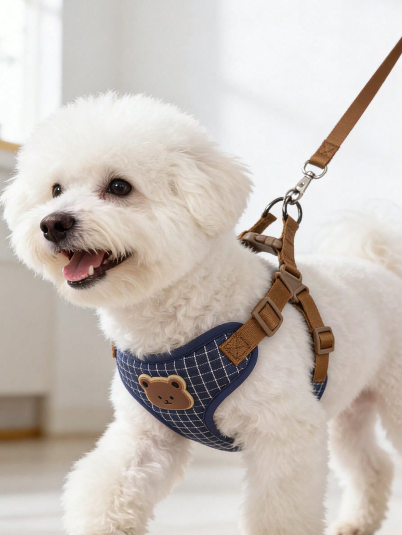 Multicolor polyester dog leash and collar set with plaid teddy bear pattern for small dogs and outdoor walking