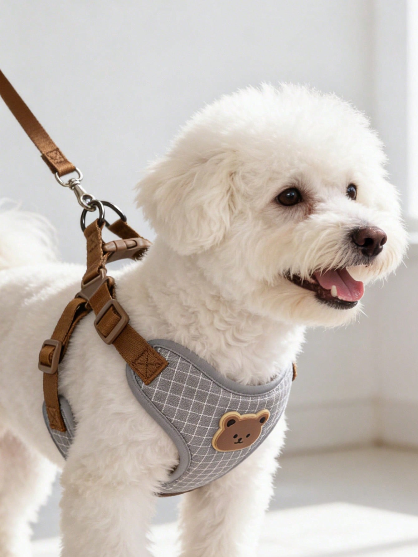 Multicolor polyester dog leash and collar set with plaid teddy bear pattern for small dogs and outdoor walking
