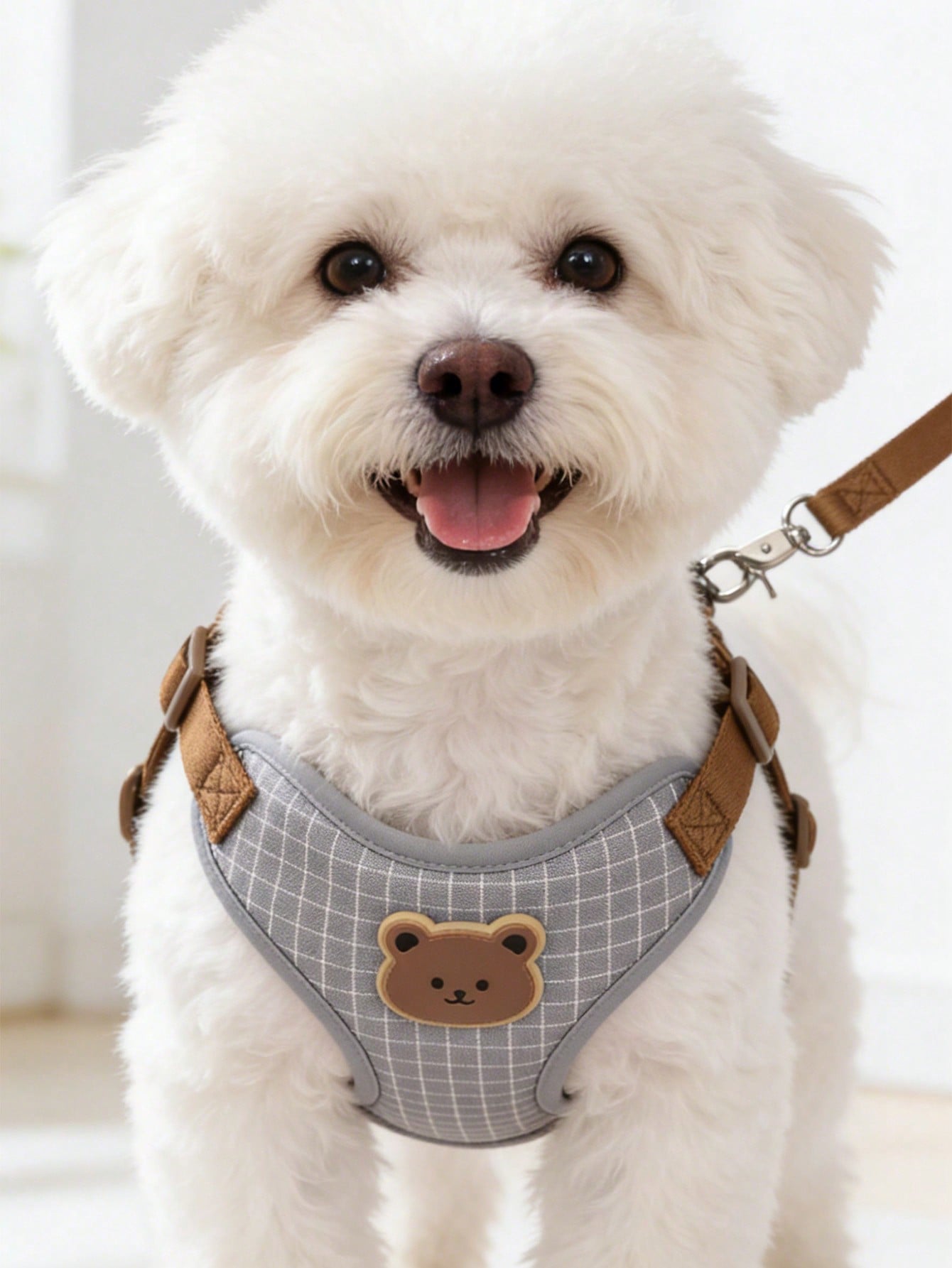 Multicolor polyester dog leash and collar set with plaid teddy bear pattern for small dogs and outdoor walking
