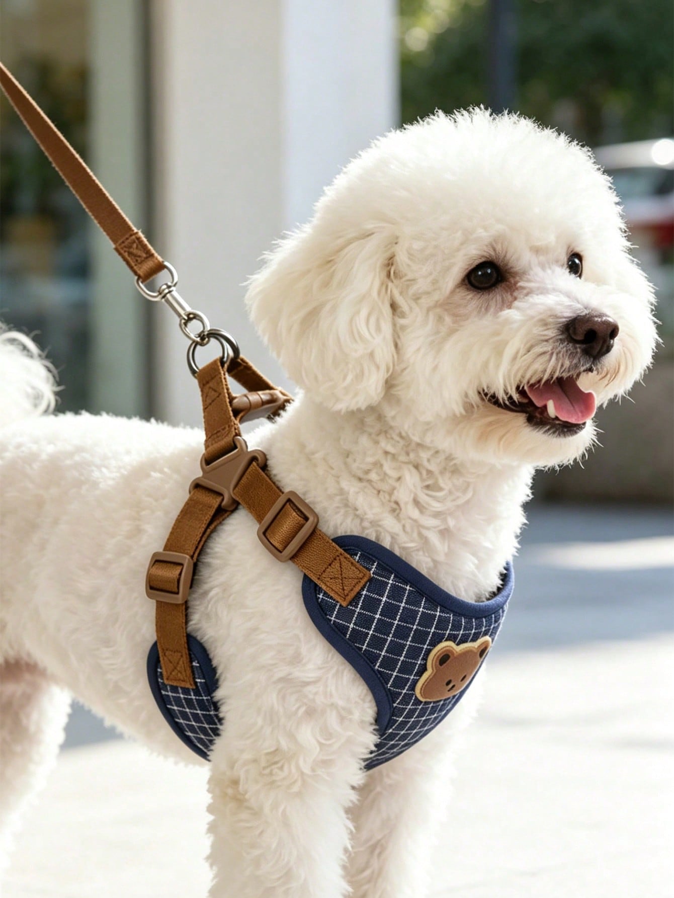 Multicolor polyester dog leash and collar set with plaid teddy bear pattern for small dogs and outdoor walking