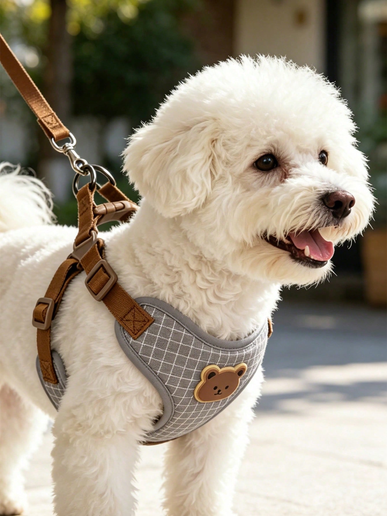 Multicolor polyester dog leash and collar set with plaid teddy bear pattern for small dogs and outdoor walking