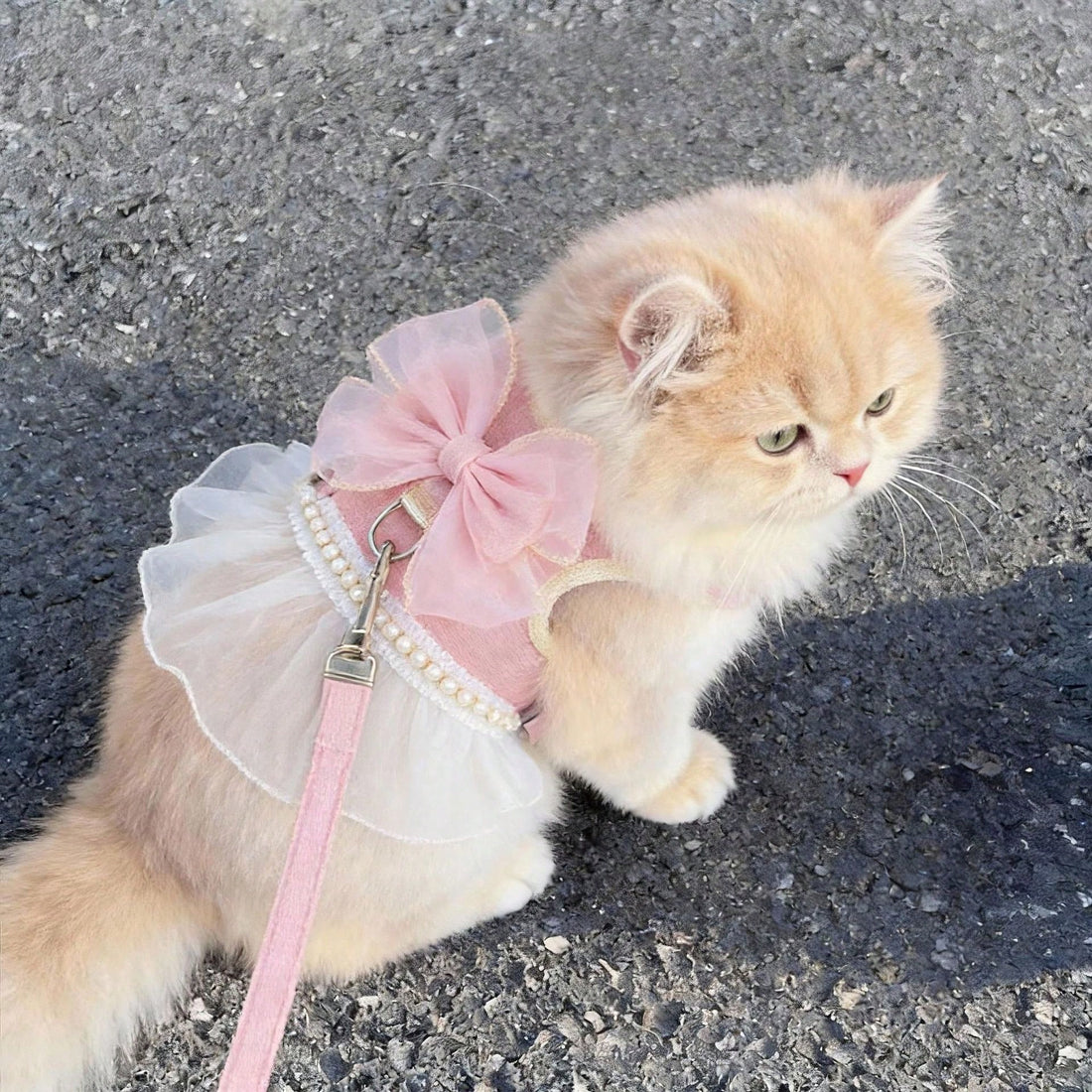 Pet Princess Style Tulle Dress Harness Leash Set, Pearl Lace Bow Vest Harness, Suitable For Small And Medium Cats And Dogs
