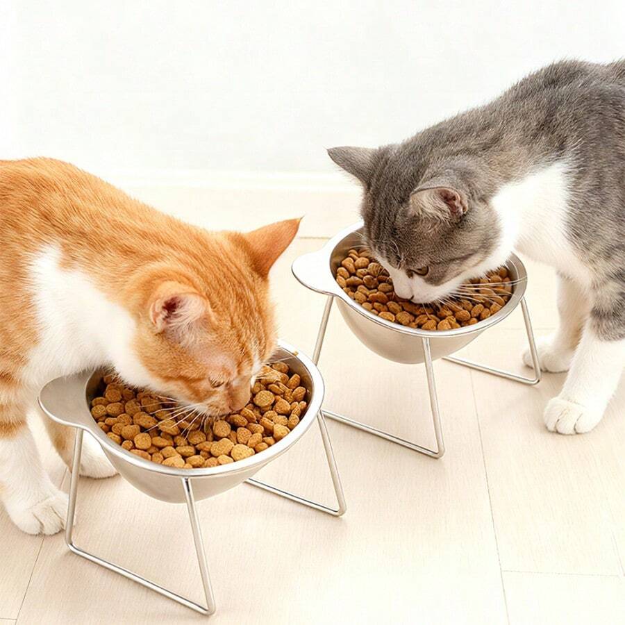 Four-piece elevated stainless steel cat bowl set with two 15-degree tilted stands for indoor cats and dogs.