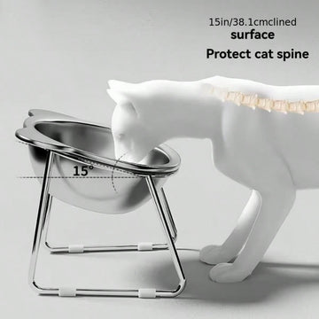 Four-piece elevated stainless steel cat bowl set with two 15-degree tilted stands for indoor cats and dogs.