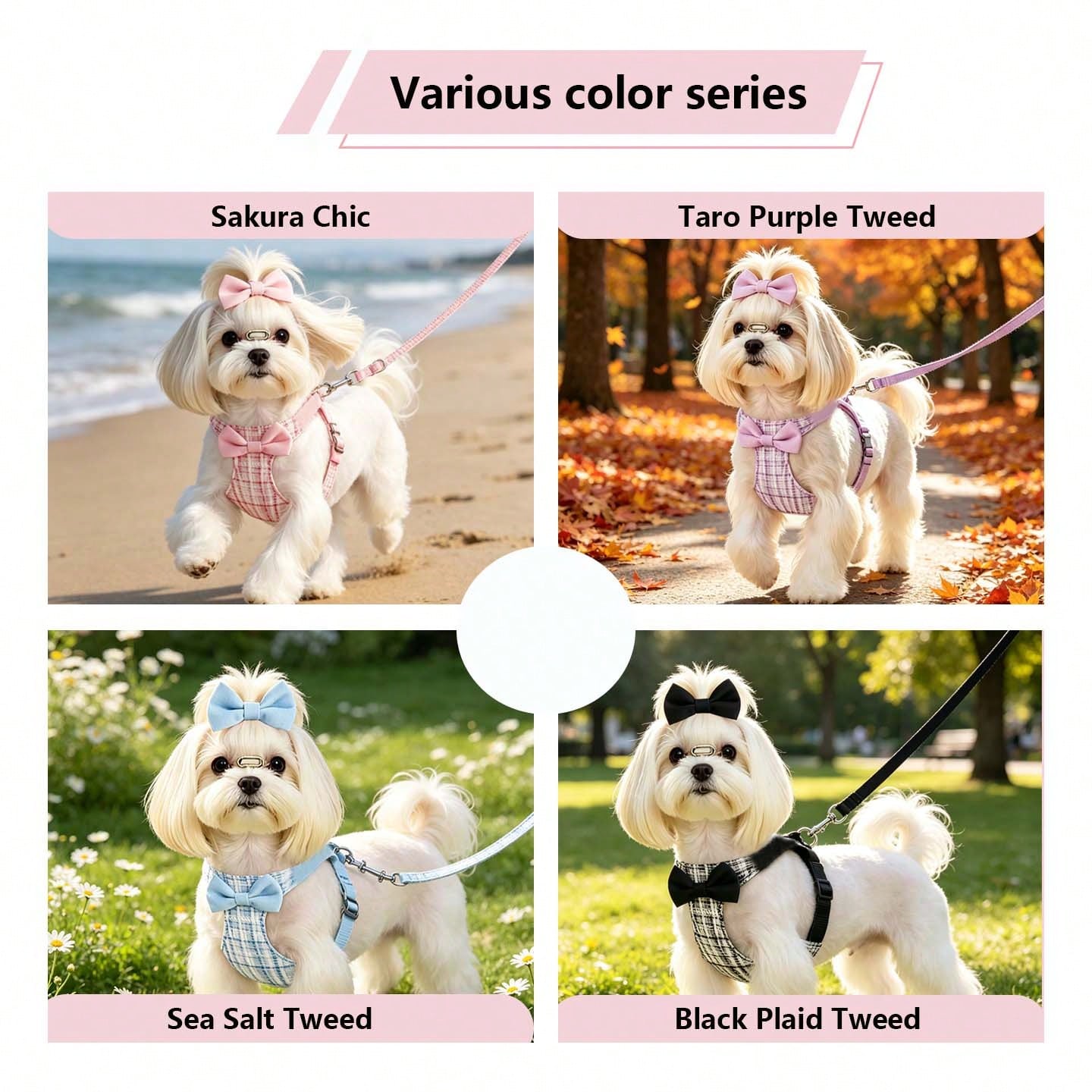 Multicolor polyester pet harness with letter pattern and 5ft leash, adjustable for small cats and dogs
