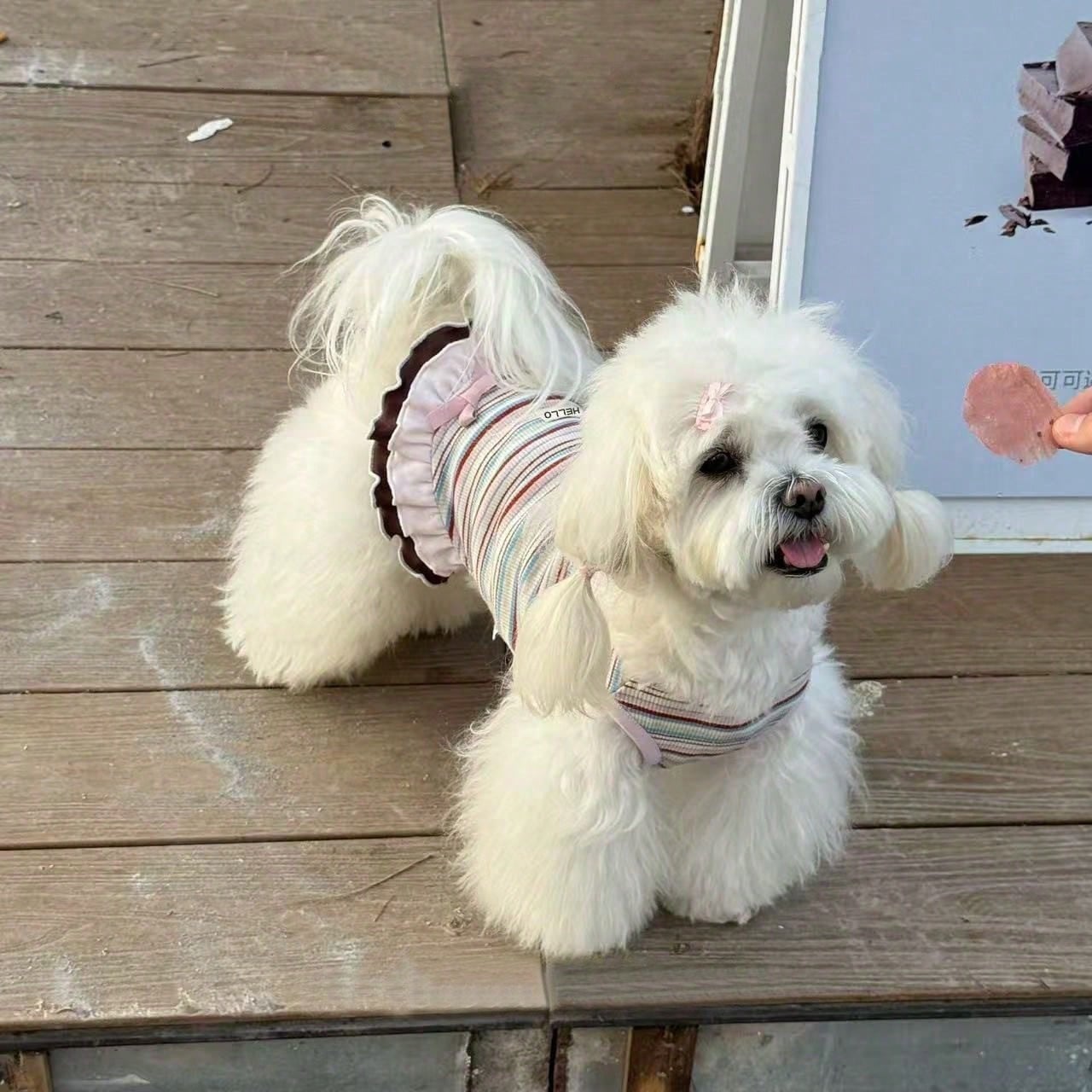 New Summer Striped Dog Dress, Anti-Hair Loss Summer Set, Suitable For Teddy Dogs And Bichon Frise Puppies' Clothing