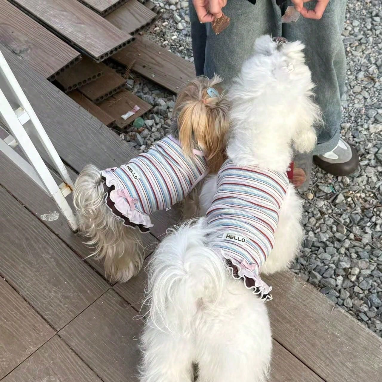 New Summer Striped Dog Dress, Anti-Hair Loss Summer Set, Suitable For Teddy Dogs And Bichon Frise Puppies' Clothing