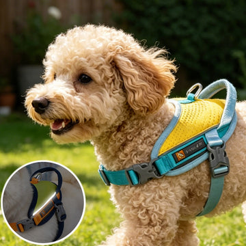 Anti-Pull Anti-Escape Reflective Pet Harness, Comfortable Breathable Mesh Lining, High-Quality Space Aluminum Leash D-Ring, Lightweight No-Burden Design, Anti-Pull Auxiliary Handle, Suitable For Medium And Small Dogs, Home And Outdoor Use. Close-Range