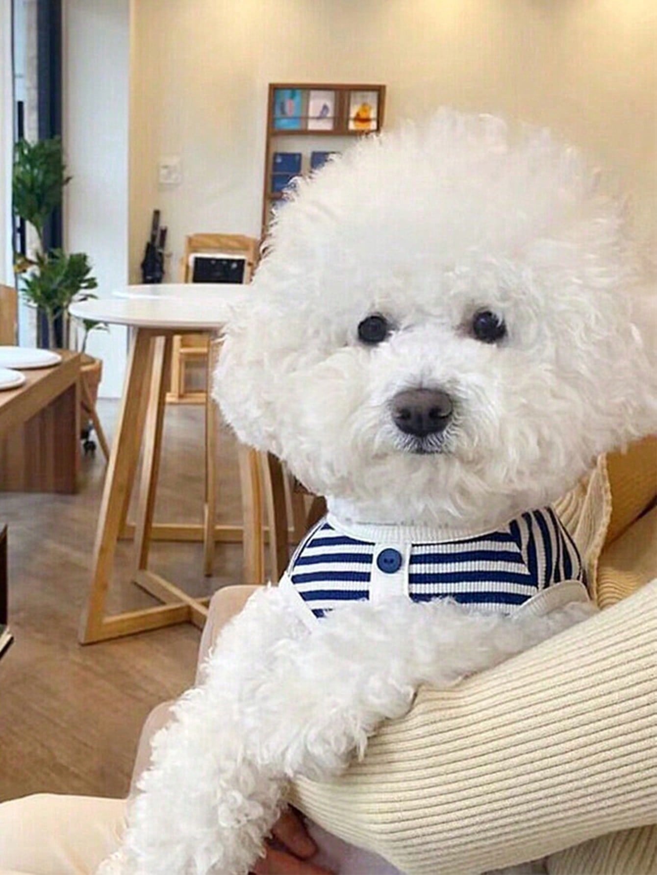 1PC Minimalist Striped Knit Pet Vest, Spring Summer Two-Leg Clothes For Small Medium Dogs Cats Teddy Bichon