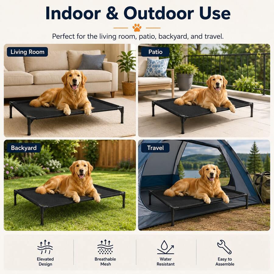 Black elevated dog bed featuring breathable mesh cooling cot design for dogs and cats
