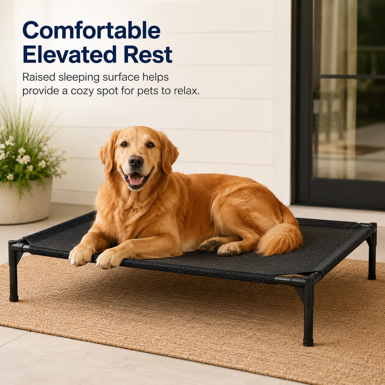Black elevated dog bed featuring breathable mesh cooling cot design for dogs and cats