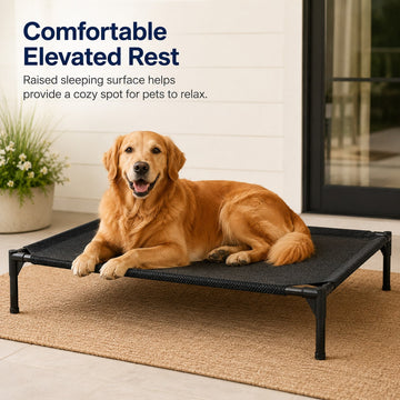 Black elevated dog bed featuring breathable mesh cooling cot design for dogs and cats