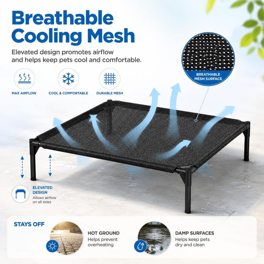 Black elevated dog bed featuring breathable mesh cooling cot design for dogs and cats