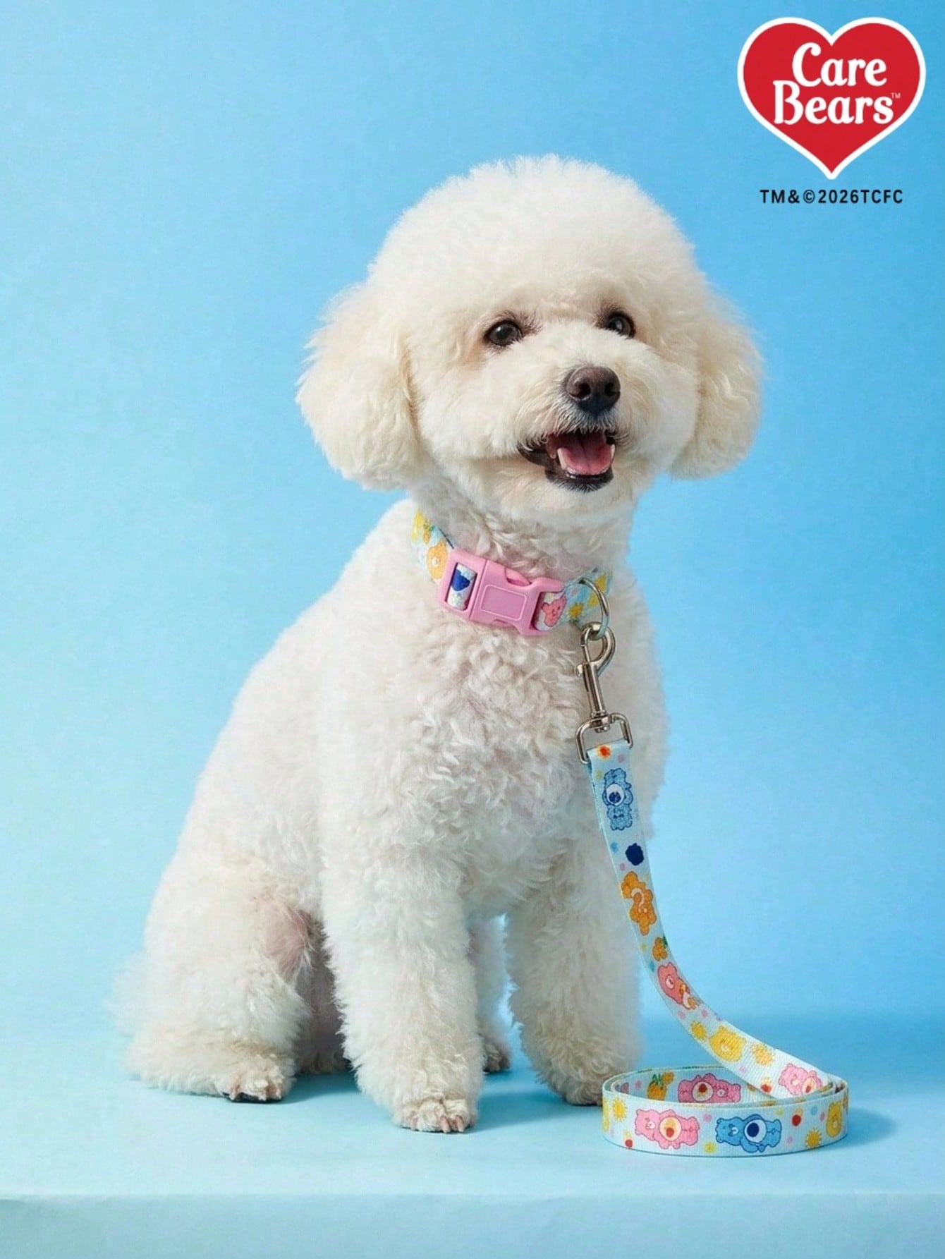 Baby blue polyamide dog leash with colorful heart-shaped bear print and comfortable grip for daily walks