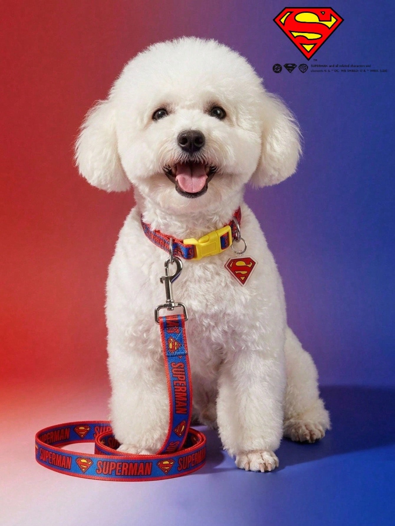Multicolor logo printed nylon dog leash with sturdy construction and comfortable grip for daily walks