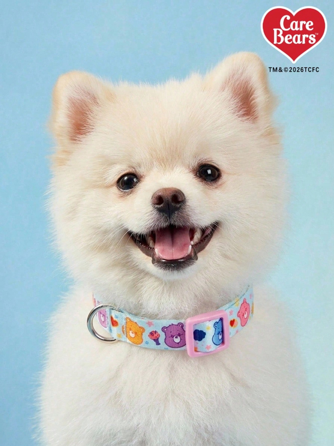 Baby blue dog collar with colorful cartoon bears, hearts, suns, adjustable quick-release buckle, and cute printed design
