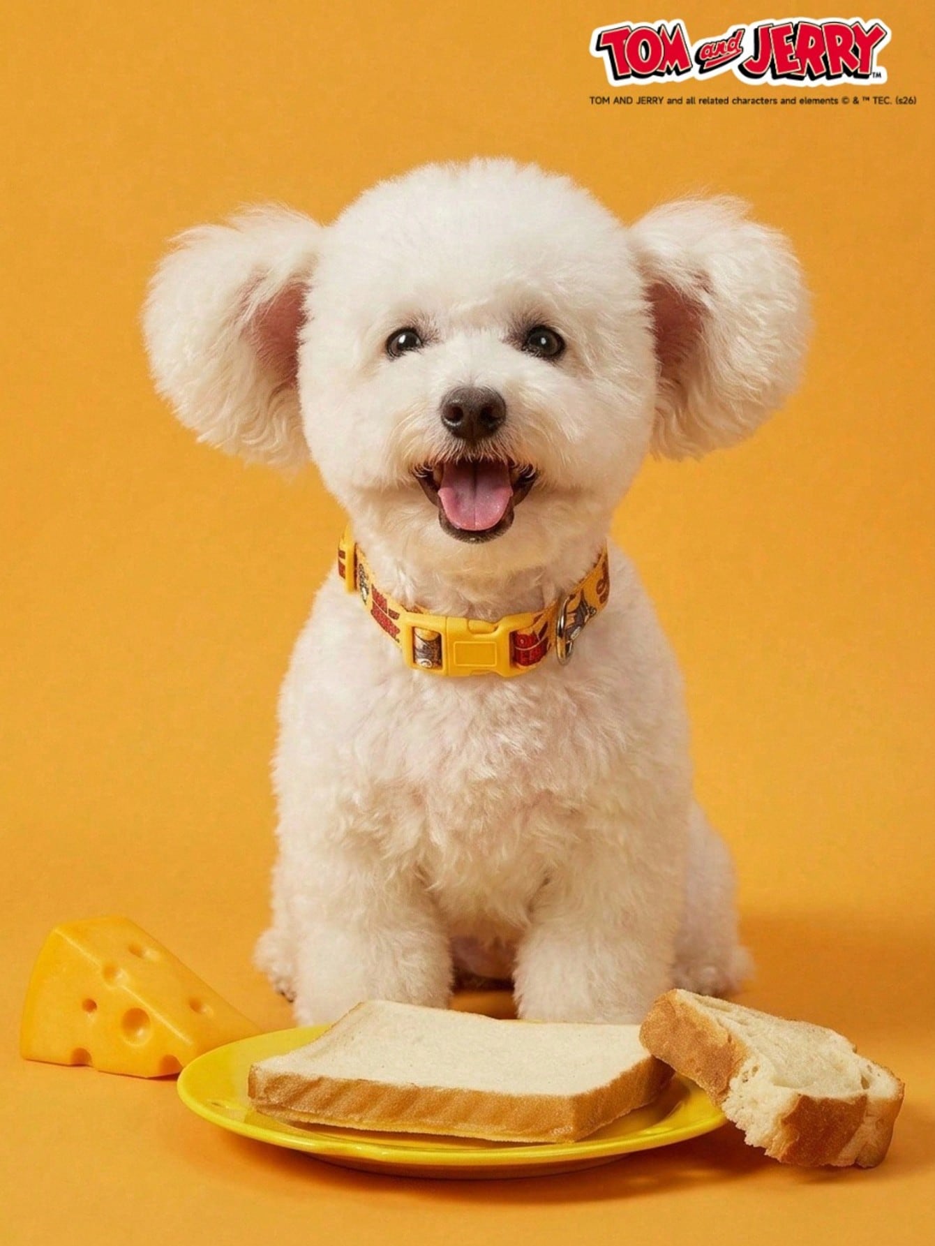 Yellow polyamide dog collar with Halloween cartoon print and quick-release buckle for small and medium dogs