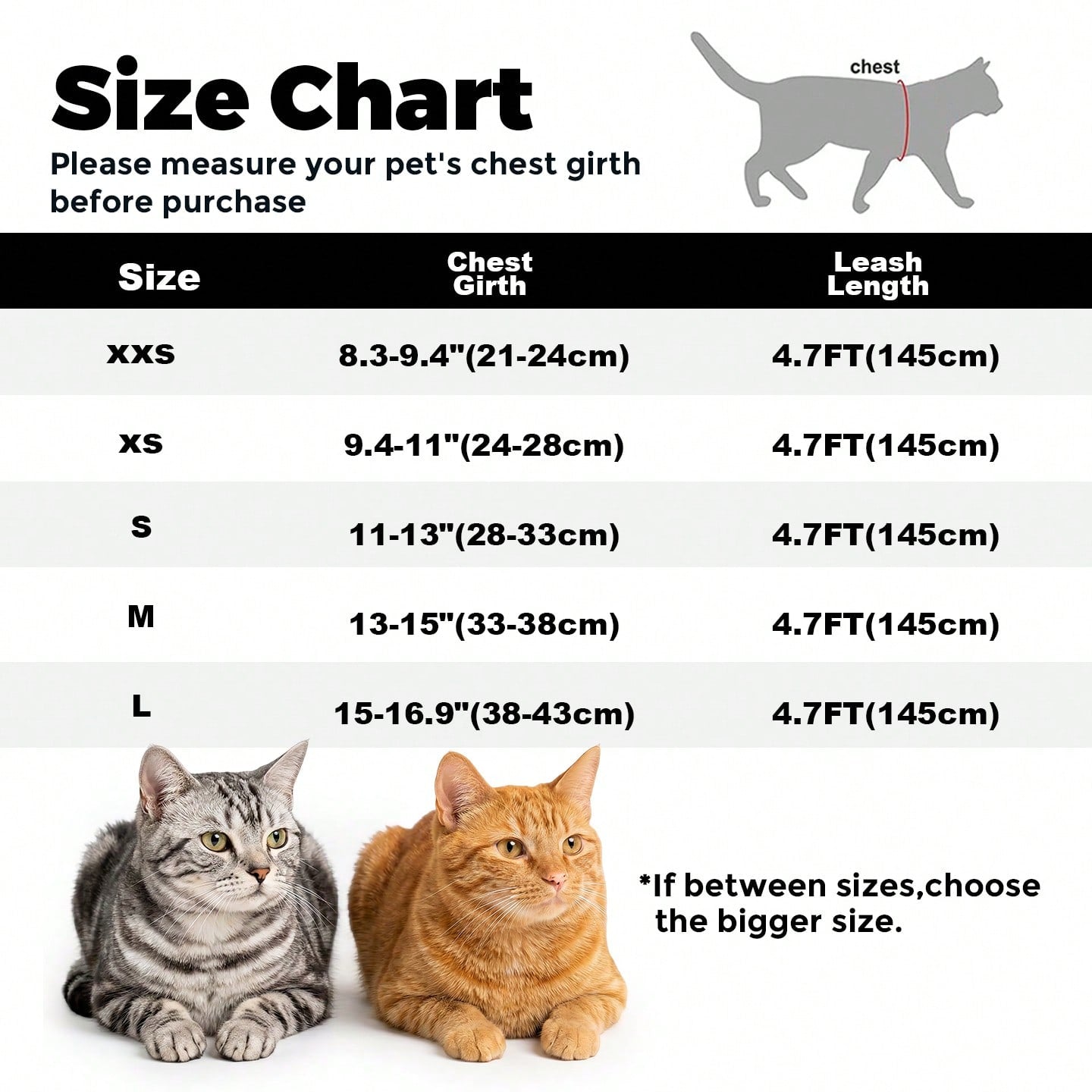 Beige anchor-shaped cat and dog leash and harness set with geometric graphic pattern, designed for small pets and made from polyester.