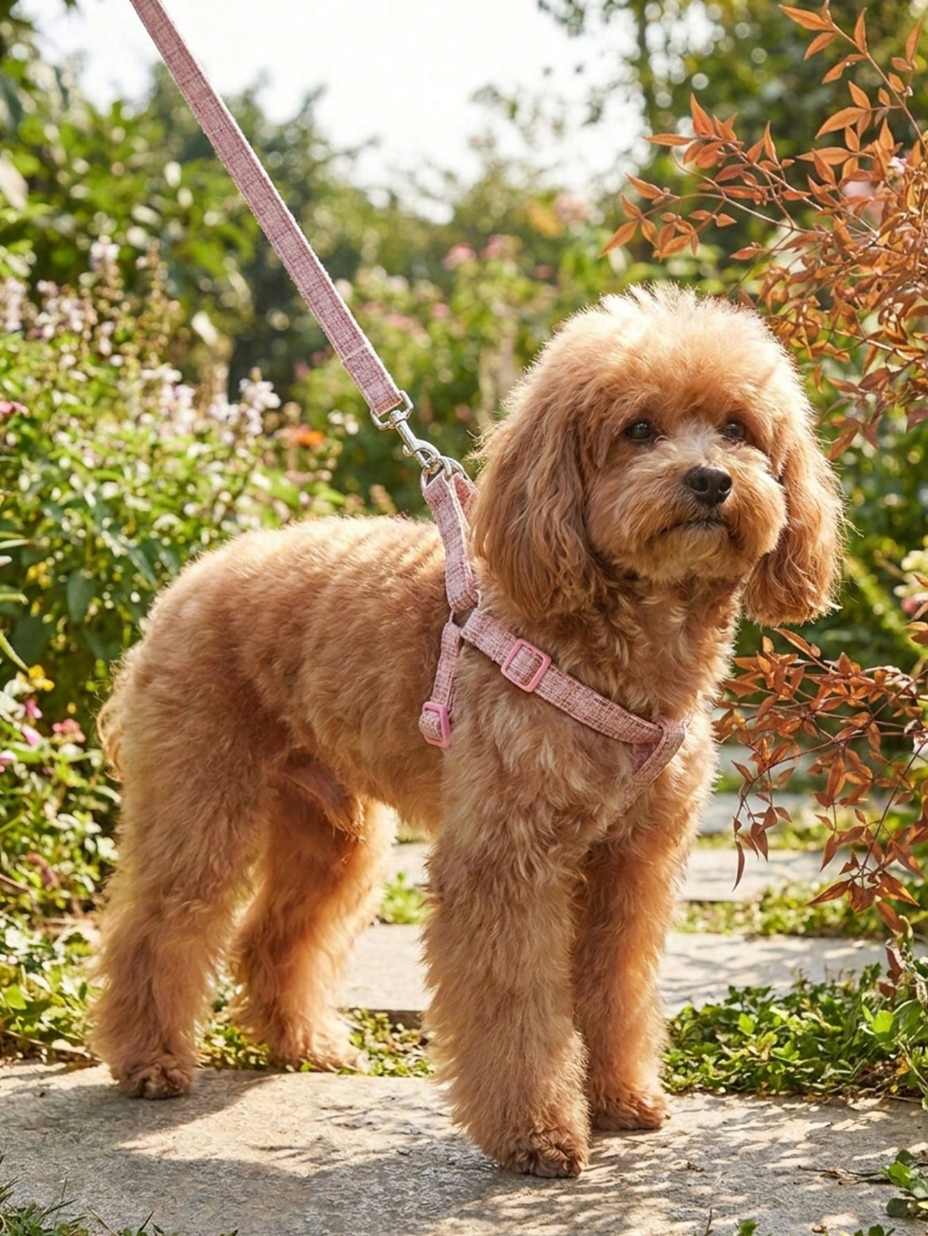 1 Set Cute Polyester Collar, Harness And Leash Set, Suitable For Small Teddy Bear Outdoor Use (Not Suitable For Large Dogs)