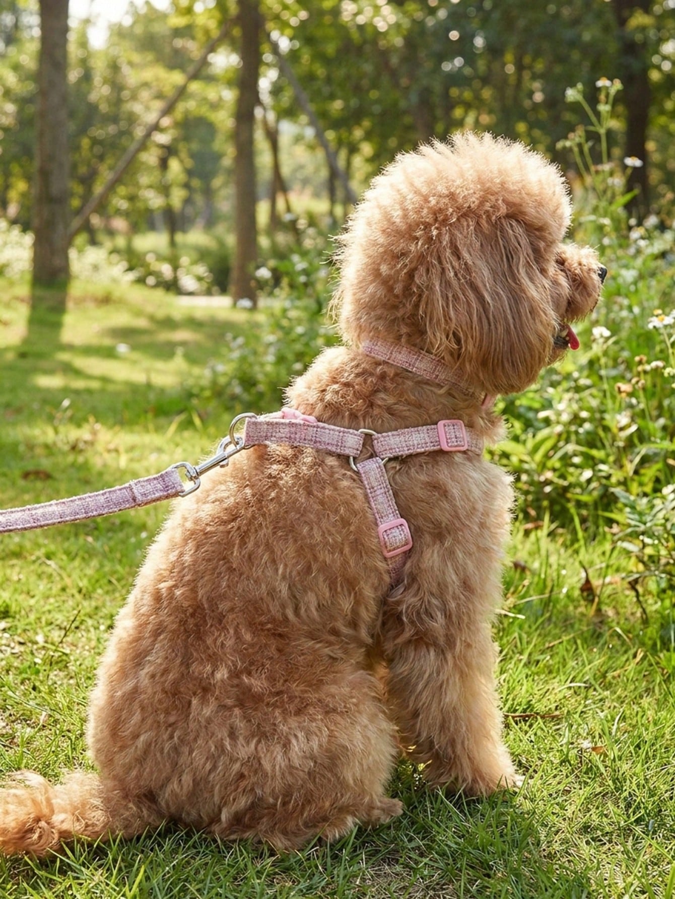 1 Set Cute Polyester Collar, Harness And Leash Set, Suitable For Small Teddy Bear Outdoor Use (Not Suitable For Large Dogs)