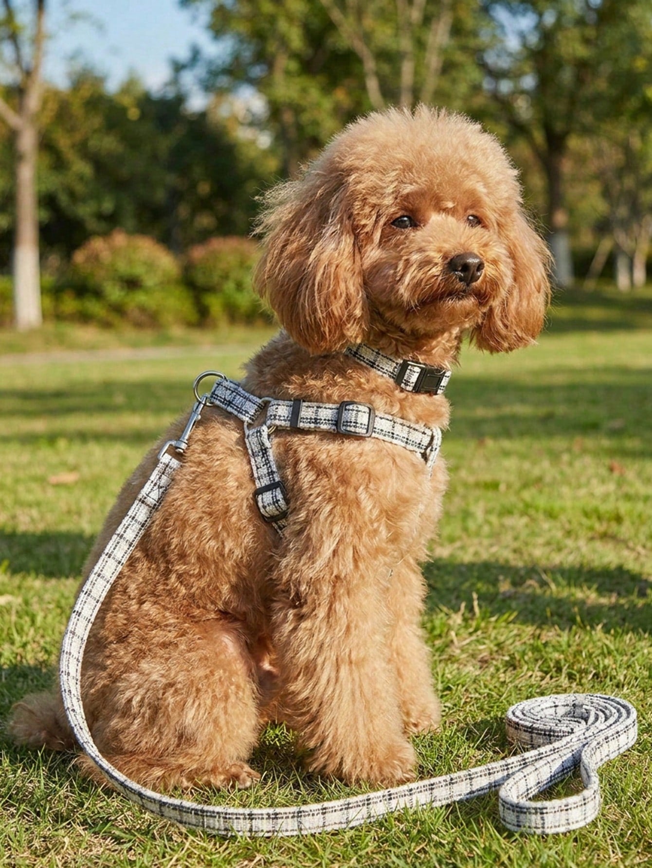 1 Set Cute Polyester Collar, Harness And Leash Set, Suitable For Small Teddy Bear Outdoor Use (Not Suitable For Large Dogs)
