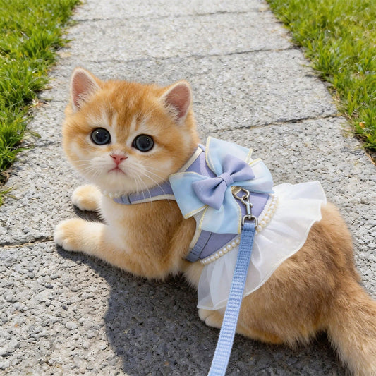Pet Princess Style Tulle Dress Harness Leash Set, Pearl Lace Bow Vest Harness, Suitable For Small And Medium Cats And Dogs