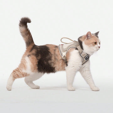Cat Tactical Harness With Soft Handle, DIY Hook And Loop Cat Outdoor Travel Harness, Suitable For Walking And Escape, Adjustable Large Cat Vest, Can Be Paired With Patches, Soft Mesh Padded Handle For Easy Control