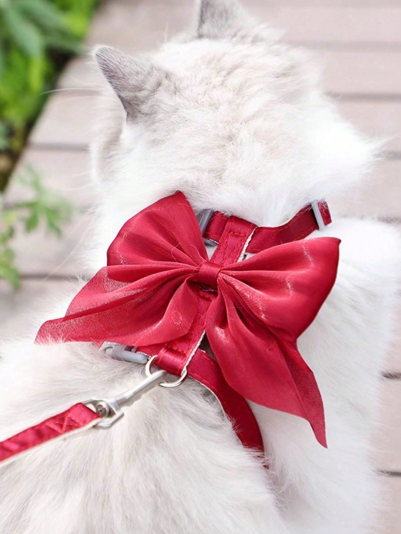 Multicolor Christmas pattern cat harness and leash set with breathable vest-style polyester harness for walking cats or dogs