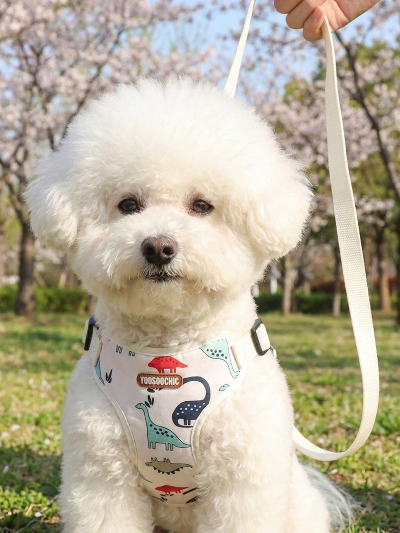 Multicolor polyester dog harness and leash set in a breathable vest style for small dogs