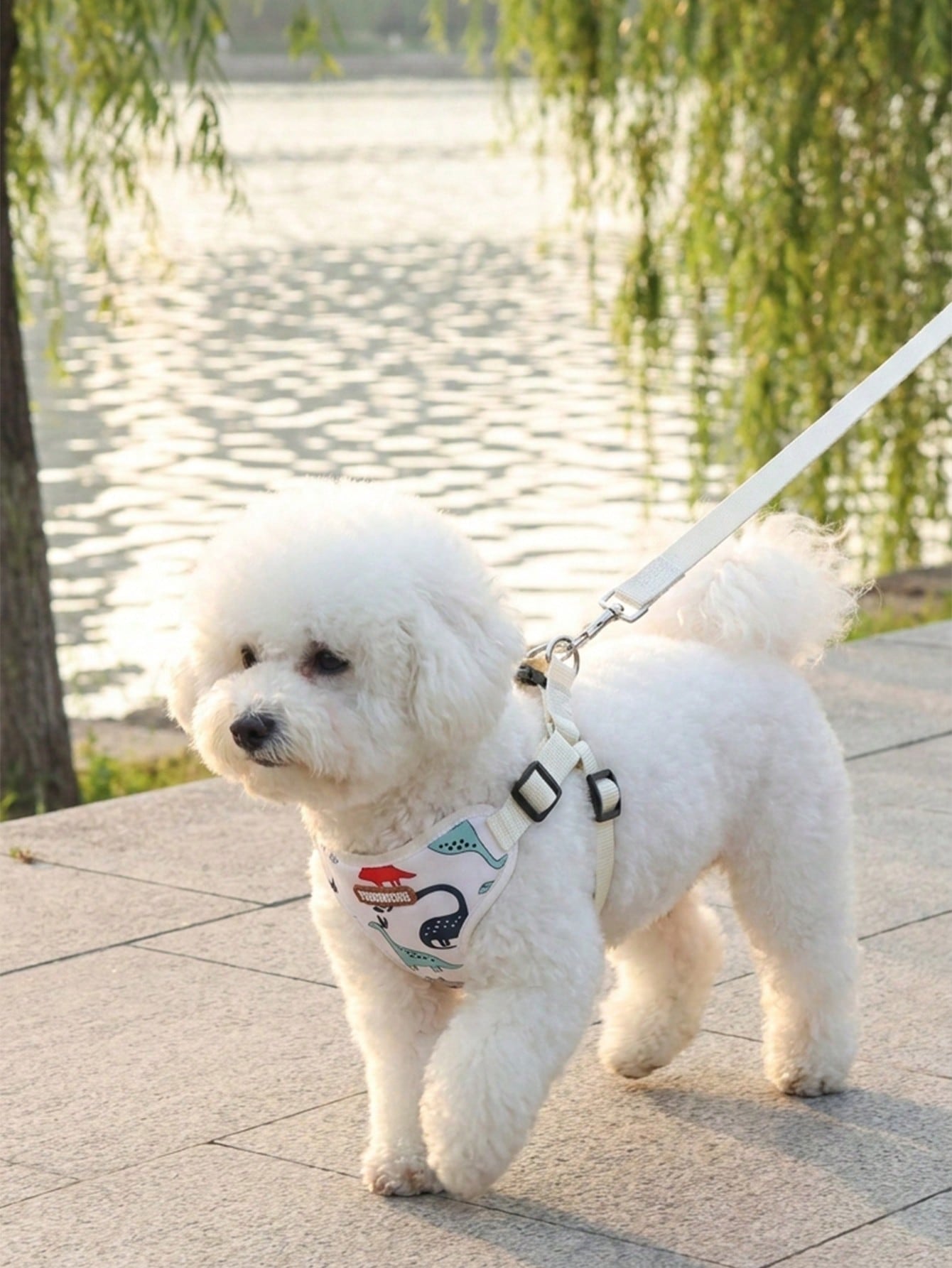 Multicolor polyester dog harness and leash set in a breathable vest style for small dogs
